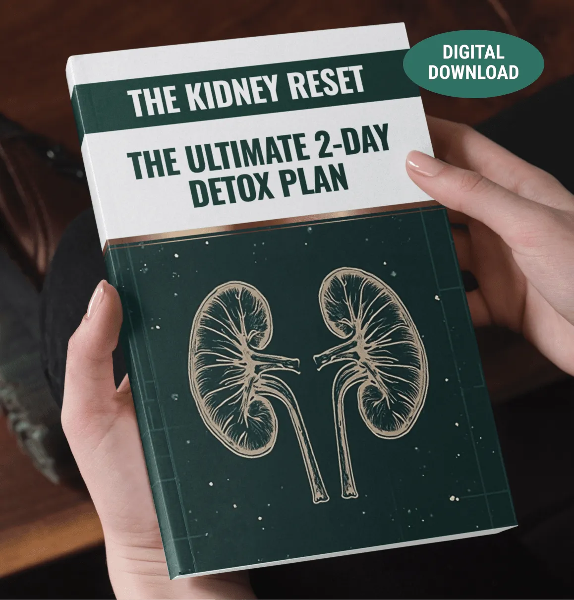 The Kidney Reset digital bonus guide